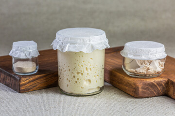 Different types of yeast for the preparation of bread products. Dry active fast-acting yeast, pressed yeast and natural bread leaven
