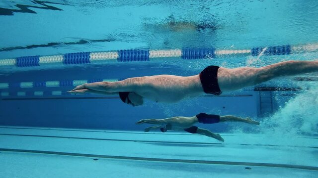 Concept of sports activity, determination, workout, healthy lifestyle. Athletes dive into the pool and start swimming