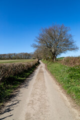 A Road in Rural Sussex with a Blue Sky Overhead