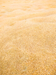 Fototapeta na wymiar Beautiful of the beach sand texture in summer sun. Background