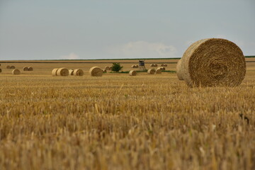 nature of the Czech Republic