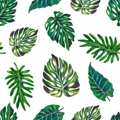 Jungle tropical green plants as monstera and palm tree leaves found in southern hot climates as south America Hawaii and Asia seamless
