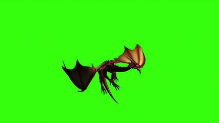  Dragon in fly - separated on green screen