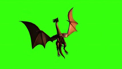  Dragon in fly - separated on green screen