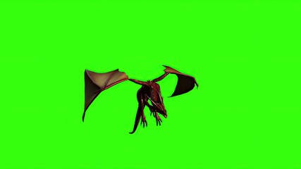  Dragon in fly - separated on green screen