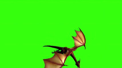  Dragon in fly - separated on green screen