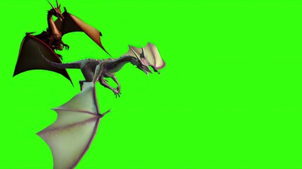  Dragon in fly - separated on green screen