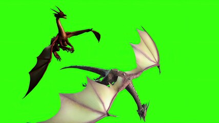  Dragon in fly - separated on green screen