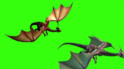  Dragon in fly - separated on green screen