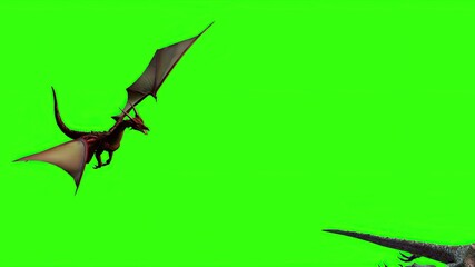  Dragon in fly - separated on green screen