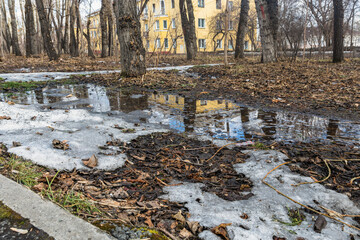 A huge puddle, melting snow, last year's leaves in the park in spring