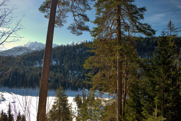 Winter scenery at the lake Cauma near Flims in Switzerland 20.2.2021
