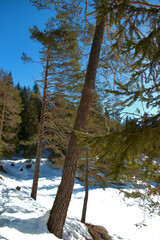 Winter scenery at the lake Cauma near Flims in Switzerland 20.2.2021