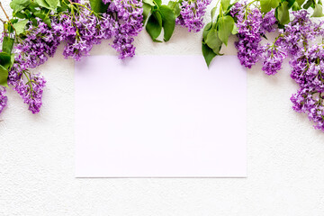 Spring flowers mock up. Purple flowers with green leaves. Space for text