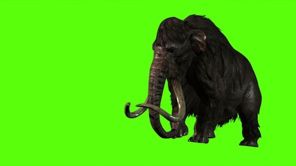 3D Rendering -  Mammoth Attacks Side on  Green screen