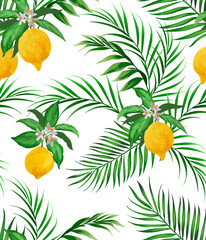 Lemon citrus vector pattern. Botanical vector illustration. Summer background. Floral design. Tropic design.