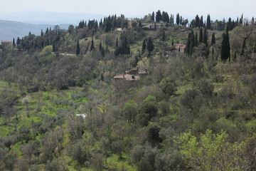 Obraz premium Sunny Tuscany landscape in spring