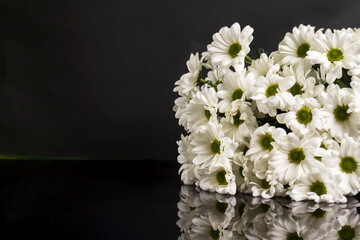 The bouquet of white flowers of a chrysanthemum on black background.