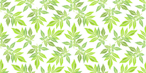 Vector floral seamless pattern. Green leaves isolated on a white background. Tile pattern for wallpaper design, fabric, textile, card, banner, digital paper.