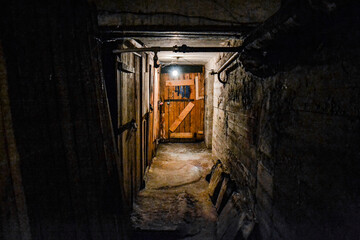 A scary dark concrete corridor in the basement, lit by a single light bulb hanging from the low ceiling. At the end of the corridor is a boarded-up wooden door