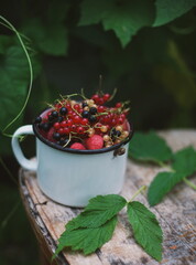 Berries in a mug on the board. Berries on a branch. © lilliya