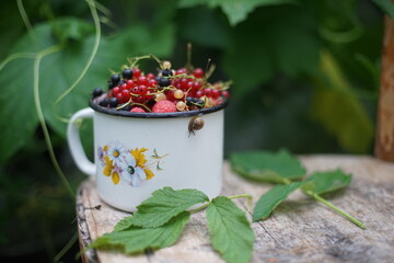 Berries in a mug on the board. Berries on a branch. © lilliya