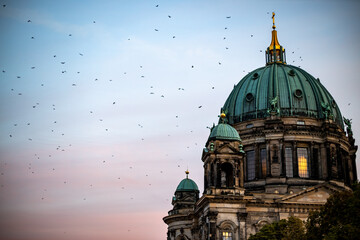 Berlin cathedral at sunset with birds © Rick Neves