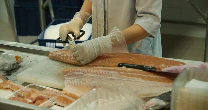 Close-up shot of a woman worker's hand in a market factory, a woman stands on the process of cutting a salmon and stacking red fish fillets. Fish meat processing plant. Fish factory, fish cutting