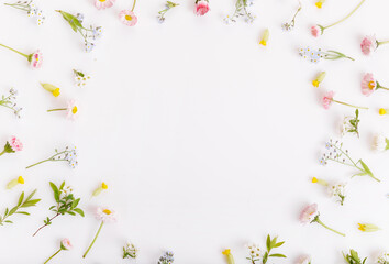 Spring frame of small flowers and daisy, floral arrangement