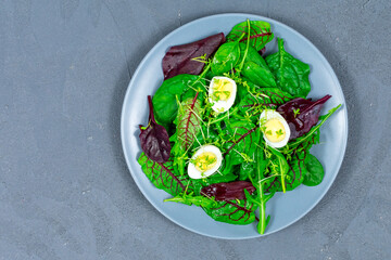 Quail eggs boiled on a lettuce leaf with microgreen sprouts. The concept of proper nutrition. Vegan food. Place for an inscription. View from above.