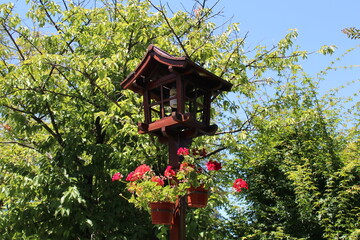 bird house on a tree