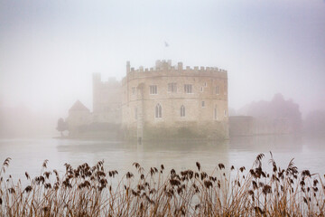 Foggy day in the park surrounding Leeds Castle, Kent, England, United Kingdom