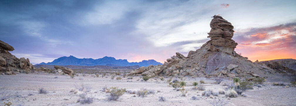 Desert sunset panorama with Chisos Mountains in the background, Big Bend National Park, Texas, United States of America