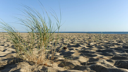 Plage de St-Denis d'Oléron