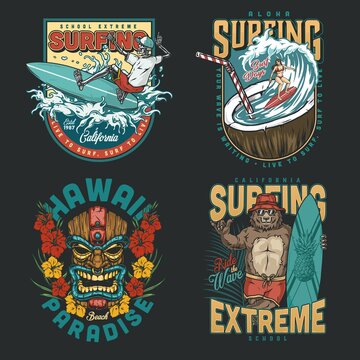 Hawaii surfing vintage colorful emblems