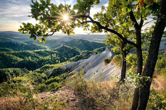 Badlands and green hills framed by trees and a sunburst, Emilia Romagna, Italy