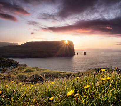 Sunset view on Rising og Kellingin sea stacks with yellow flowers in the foreground, Faroe Islands, Denmark