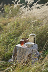 Picnic in nature. Drinks and desserts on the table.