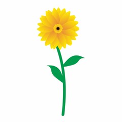 Fototapeta premium Sun Flower Illustration Vector isolated on white background