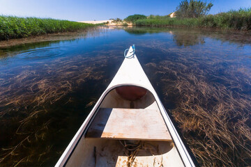 Fototapeta premium Boat sails along a quiet backwater of the river between the reeds