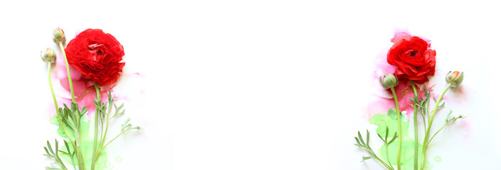 Creative image of beautiful red Buttercup flower on artistic ink background. Top view with copy space