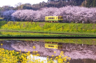 房総半島新田野付近...