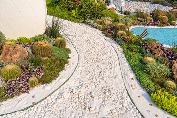 path leading through a flower garden with cactus succulents