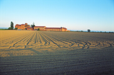 Fototapeta na wymiar The land plowed under blue skies in the ancient charm of the Piedmont countryside.
