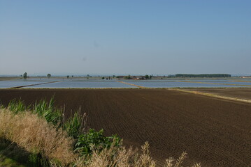 Flooded paddy field of Piedmont where in the month of May the province of Vercelli is a mirror of water with beautiful reflections and colors.