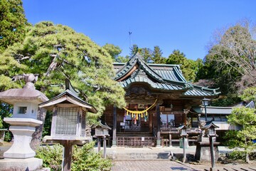 小高神社の桜（福島県・南相馬市）