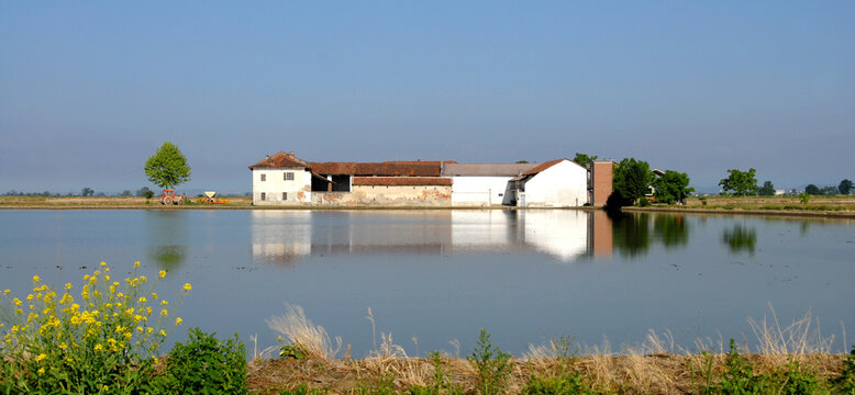Flooded paddy field of Piedmont where in the month of May the province of Vercelli is a mirror of water with beautiful reflections and colors.