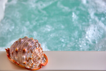 Shell on the hot tub