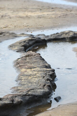Natural mud and clay formations on the beach at low tide