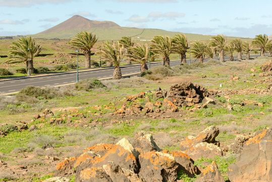 Landscape near the village of Costa Teguise on Lanzarote island, Spain